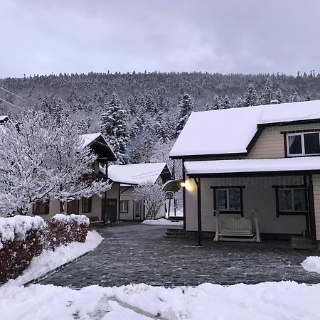Karpatske Vidlunnya Villa Mykulychyn Exterior photo